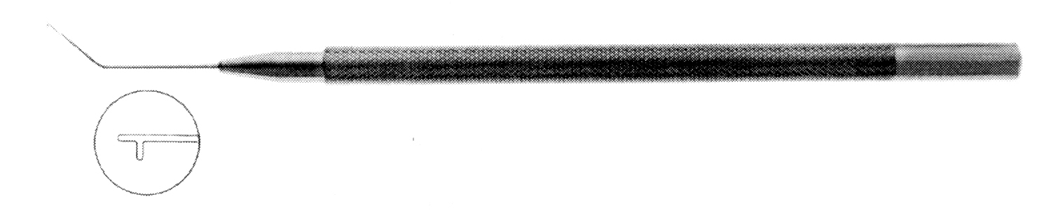 LENS YERLEŞTİRİCİ